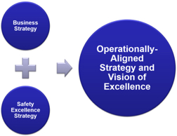 Operationally aligned strategy and vision of excellence
