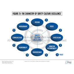 The Chemistry of Safety Culture Excellence